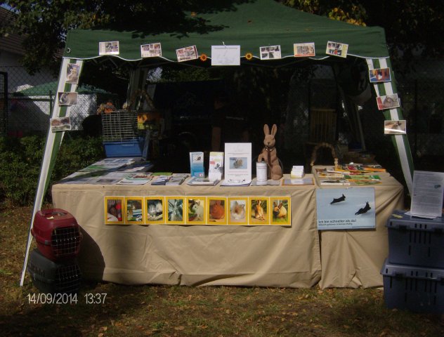 Infostand